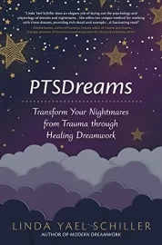 PTSDreams by Linda Yael Schiller