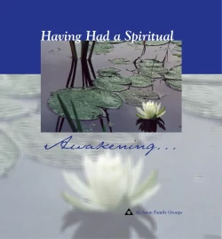 Having Had a Spiritual Awakening by Al-Anon Family Groups - (Pre-Loved)