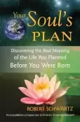 Your Soul's Plan by Robert Schwartz - Pre-loved