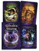 Witches' Wisdom Oracle Card Deck by Barbara Meiklejohn-Free & Flavia Kate Peters